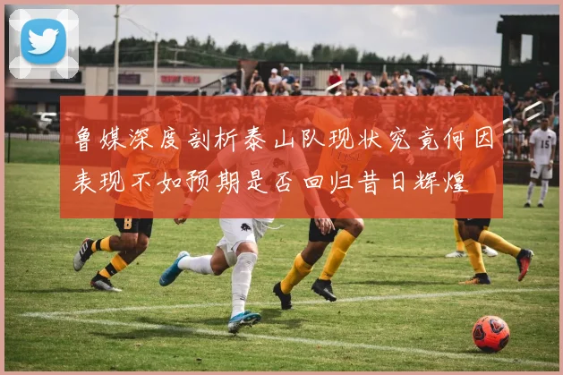 鲁媒深度剖析泰山队现状究竟何因表现不如预期是否回归昔日辉煌
