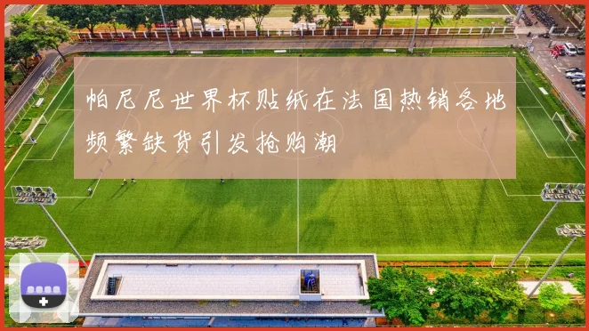 帕尼尼世界杯贴纸在法国热销各地频繁缺货引发抢购潮
